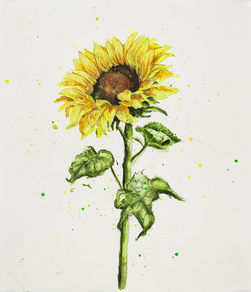 Sunflower - Opening the Soul